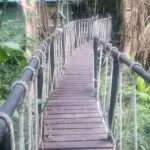 קאו סוק - בתי מלון (6)