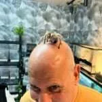 קאו סוק - חוויית העכבישים (4)