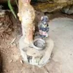 קאו סוק - מקדש הקופים (4)