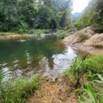 קאו סוק - ספארי יום (4)