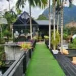 קאו סוק – תצפיות, מפלים ובתי קפה (3)