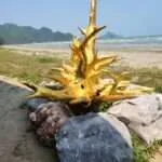 ‏‏הואה הין - מפרץ הדולפין (3)